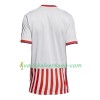 Paraguay Thuisshirt 2018
